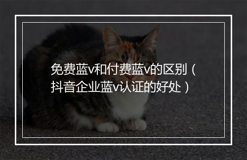 免费蓝v和付费蓝v的区别（抖音企业蓝v认证的好处）