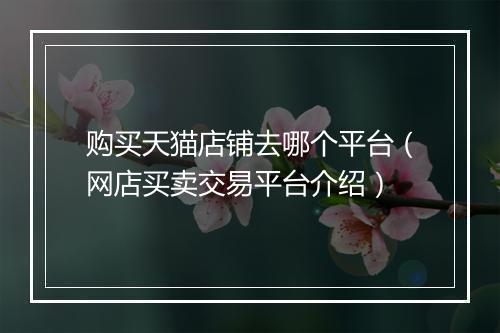 购买天猫店铺去哪个平台（网店买卖交易平台介绍）