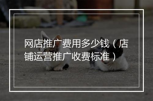 网店推广费用多少钱（店铺运营推广收费标准）