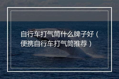 自行车打气筒什么牌子好（便携自行车打气筒推荐）