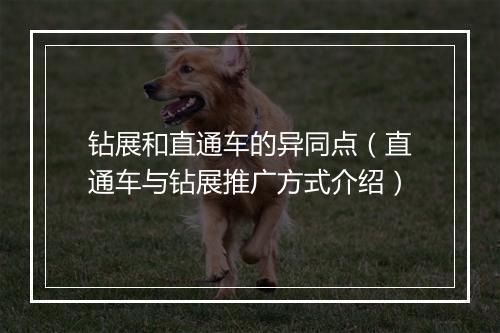 钻展和直通车的异同点（直通车与钻展推广方式介绍）