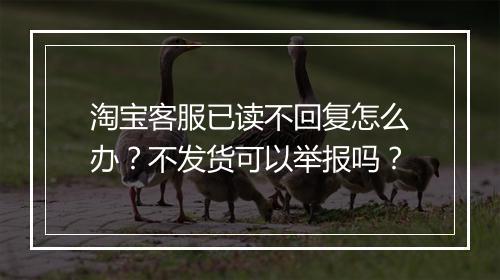 淘宝客服已读不回复怎么办？不发货可以举报吗？