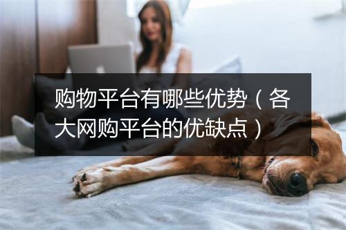 购物平台有哪些优势（各大网购平台的优缺点）