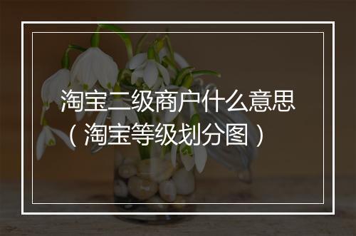 淘宝二级商户什么意思（淘宝等级划分图）