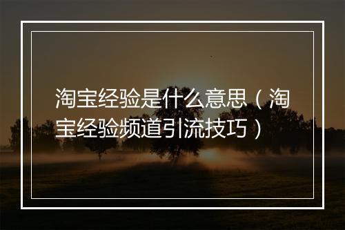 淘宝经验是什么意思（淘宝经验频道引流技巧）