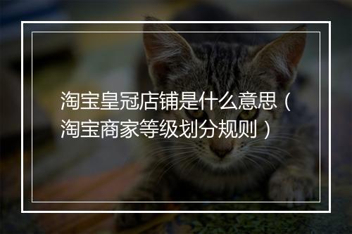 淘宝皇冠店铺是什么意思（淘宝商家等级划分规则）