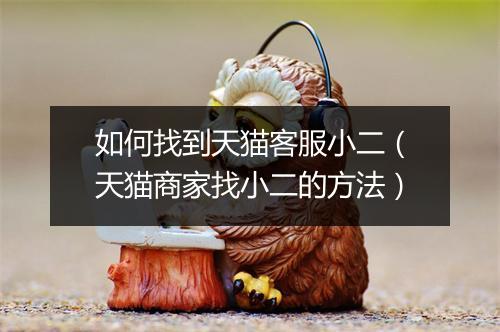 如何找到天猫客服小二（天猫商家找小二的方法）