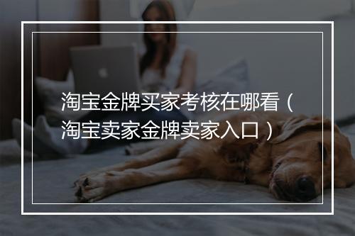 淘宝金牌买家考核在哪看（淘宝卖家金牌卖家入口）