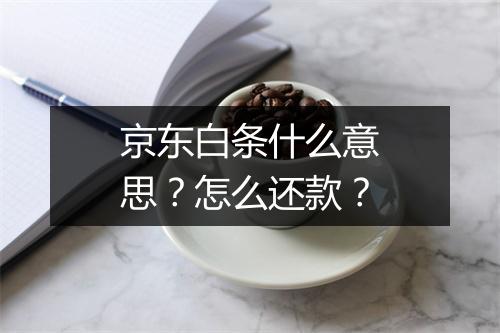 京东白条什么意思？怎么还款？
