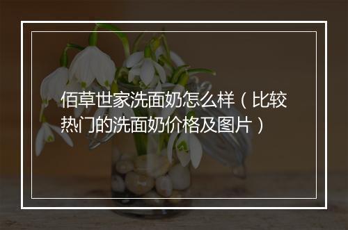 佰草世家洗面奶怎么样（比较热门的洗面奶价格及图片）