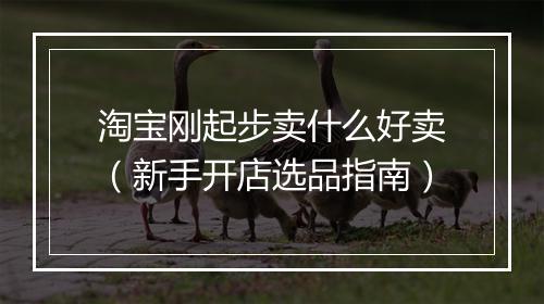 淘宝刚起步卖什么好卖（新手开店选品指南）