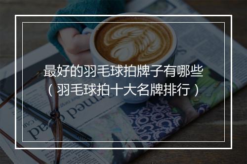 最好的羽毛球拍牌子有哪些（羽毛球拍十大名牌排行）