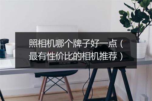 照相机哪个牌子好一点（最有性价比的相机推荐）