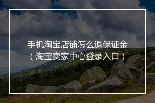 手机淘宝店铺怎么退保证金（淘宝卖家中心登录入口）