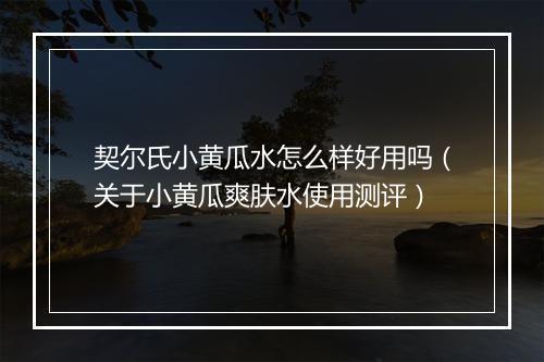 契尔氏小黄瓜水怎么样好用吗（关于小黄瓜爽肤水使用测评）