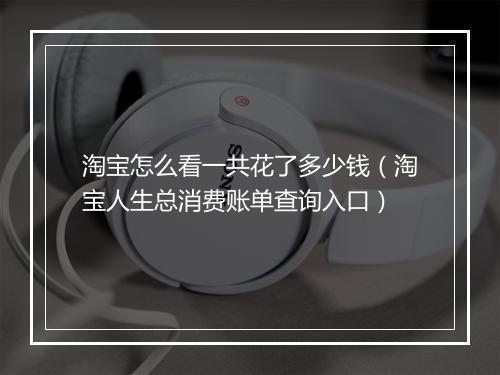 淘宝怎么看一共花了多少钱（淘宝人生总消费账单查询入口）