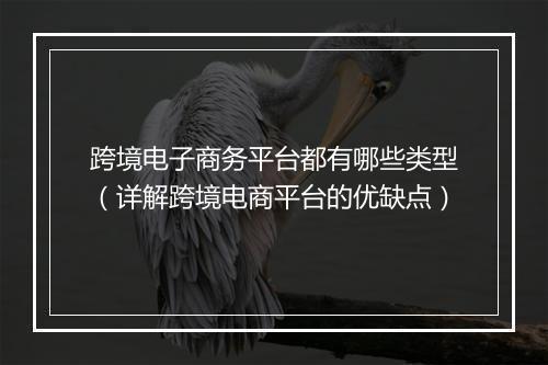 跨境电子商务平台都有哪些类型（详解跨境电商平台的优缺点）