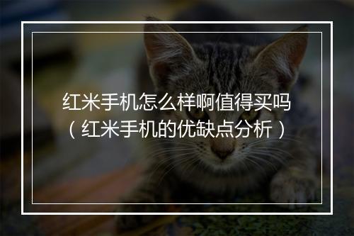 红米手机怎么样啊值得买吗（红米手机的优缺点分析）