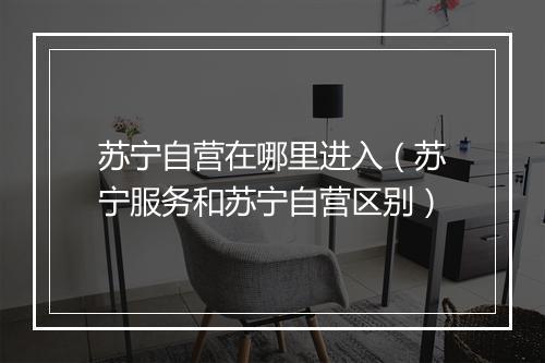 苏宁自营在哪里进入（苏宁服务和苏宁自营区别）