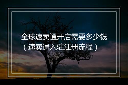 全球速卖通开店需要多少钱（速卖通入驻注册流程）