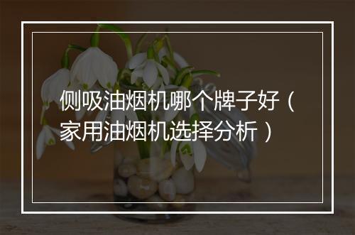 侧吸油烟机哪个牌子好（家用油烟机选择分析）
