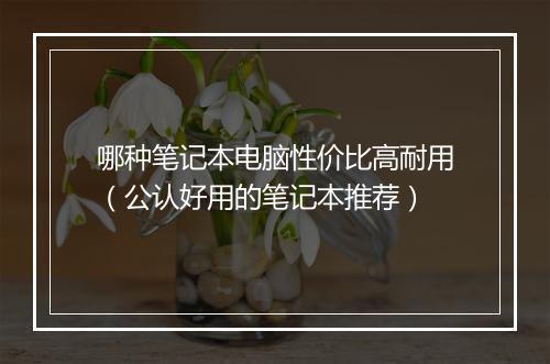 哪种笔记本电脑性价比高耐用（公认好用的笔记本推荐）