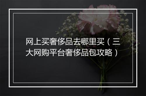 网上买奢侈品去哪里买（三大网购平台奢侈品包攻略）