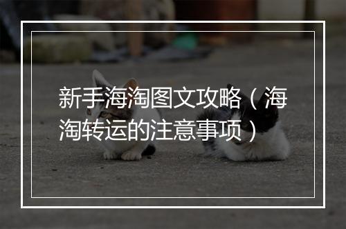 新手海淘图文攻略（海淘转运的注意事项）