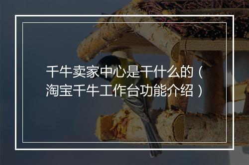 千牛卖家中心是干什么的（淘宝千牛工作台功能介绍）