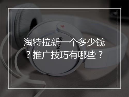淘特拉新一个多少钱？推广技巧有哪些？