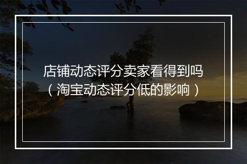 店铺动态评分卖家看得到吗（淘宝动态评分低的影响）