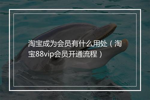 淘宝成为会员有什么用处（淘宝88vip会员开通流程）