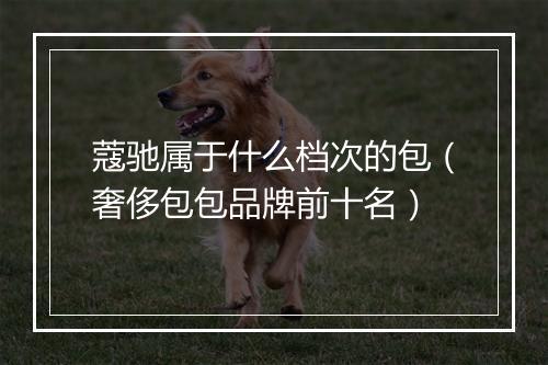 蔻驰属于什么档次的包（奢侈包包品牌前十名）