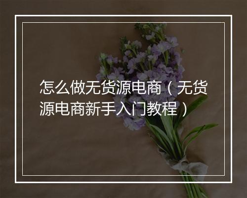 怎么做无货源电商（无货源电商新手入门教程）