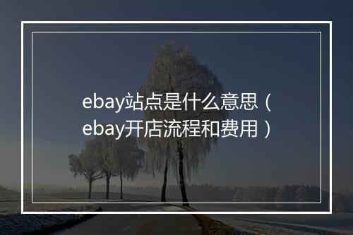 ebay站点是什么意思（ebay开店流程和费用）