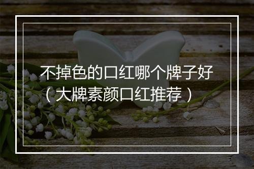 不掉色的口红哪个牌子好（大牌素颜口红推荐）
