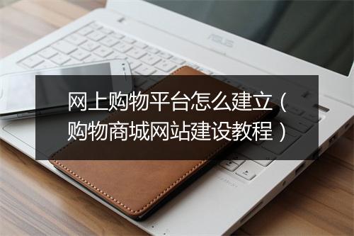 网上购物平台怎么建立（购物商城网站建设教程）
