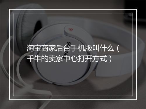 淘宝商家后台手机版叫什么（千牛的卖家中心打开方式）