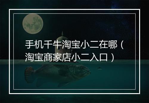 手机千牛淘宝小二在哪（淘宝商家店小二入口）