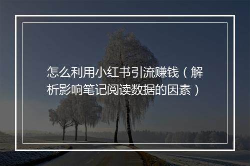 怎么利用小红书引流赚钱（解析影响笔记阅读数据的因素）