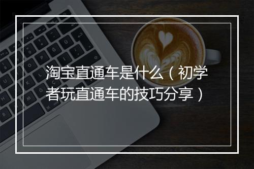 淘宝直通车是什么（初学者玩直通车的技巧分享）