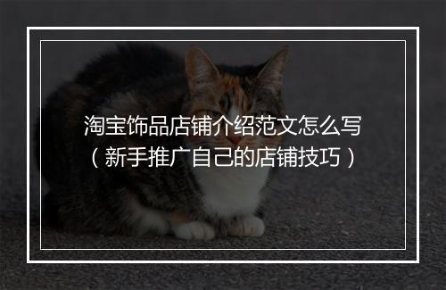 淘宝饰品店铺介绍范文怎么写（新手推广自己的店铺技巧）