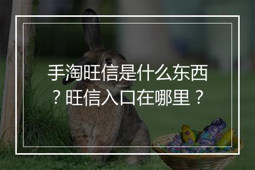 手淘旺信是什么东西？旺信入口在哪里？