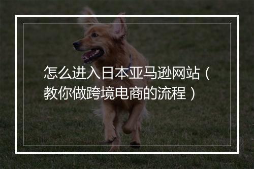 怎么进入日本亚马逊网站（教你做跨境电商的流程）