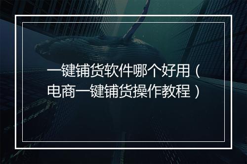 一键铺货软件哪个好用（电商一键铺货操作教程）
