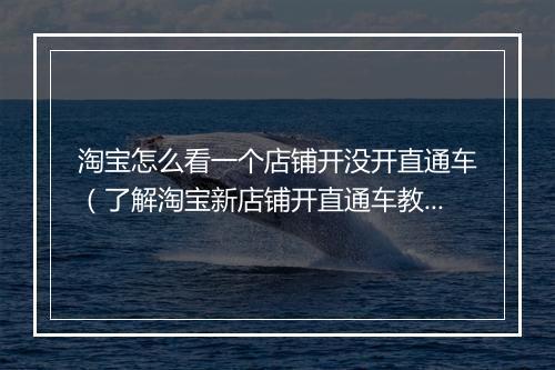 淘宝怎么看一个店铺开没开直通车（了解淘宝新店铺开直通车教程）