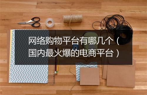 网络购物平台有哪几个（国内最火爆的电商平台）