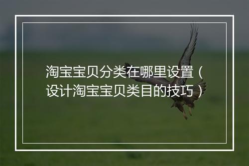 淘宝宝贝分类在哪里设置（设计淘宝宝贝类目的技巧）