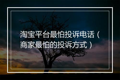 淘宝平台最怕投诉电话（商家最怕的投诉方式）