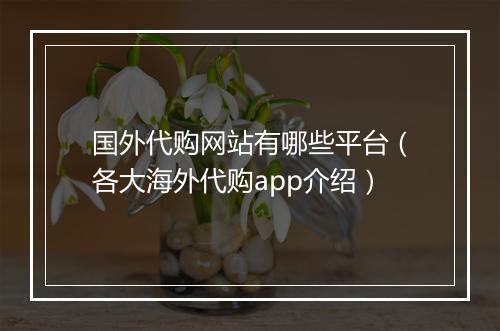 国外代购网站有哪些平台（各大海外代购app介绍）